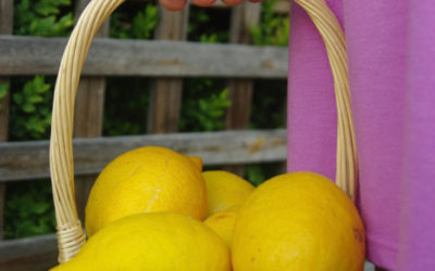 Sunday 21 April – Acts 10:34-43 or Isaiah 65:17-25, Psalm 118:1-2, 14-24, I Corinthians 15:19-26 or Acts 10:34-43, John 20:1-18 or Luke 24:1-12