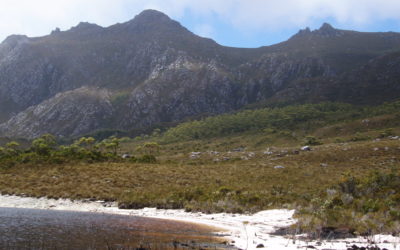 26th July        Matthew 13:31-33, 44-52