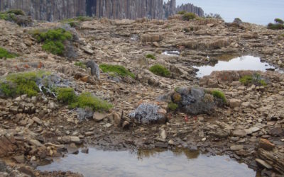 12th July        Matthew 13:1-9, 18-23