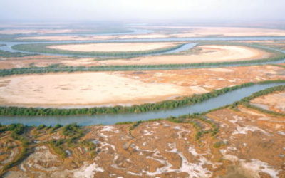 March 5th Lent 2  Genesis 12: 1-4a.