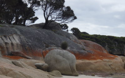 19th July        Matthew 13:24-30, 36-43