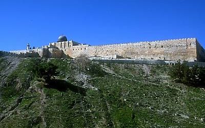 25 August Luke 13: 10 – 17