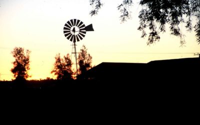 Sunday 21 July Col 1: 15 – 28