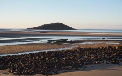 Sep 1 2019: Luke 14:1, 7-14