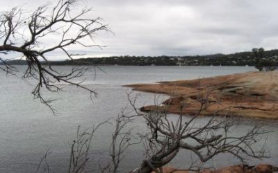 Sep 8 2019: Ps 139:1-6, 13-18