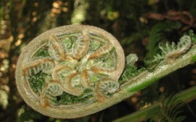 Sep 15 2019 Lk 15:1-10