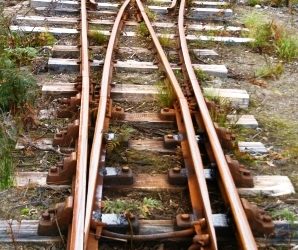 Sep 29 2019: Lk 16:19-31