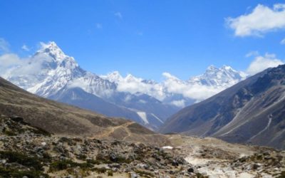 Jan 23 2022 Epiphany 3    Neh 8:1-3, 5-6, 8-10   Ps 19    1 Cor 12:12-31a    Lk 4:14-21