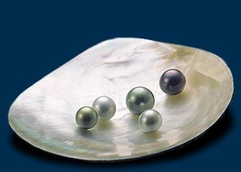 30th July 2023   Pentecost 9   Matthew 13:31-33, 44-52