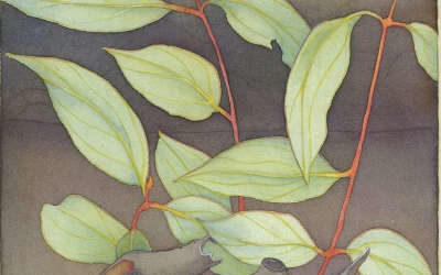 14 August 2022 Pentecost 10 Psalm 80:1-2, 8-19