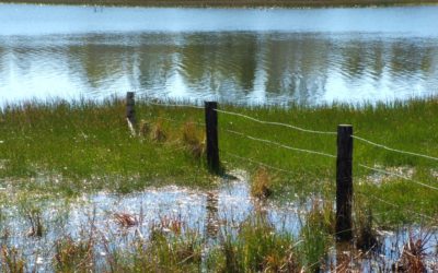 1st October 2023    Pentecost 18   Exodus 17: 1-7