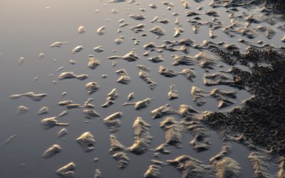 1 March  – Matthew 4: 1-11