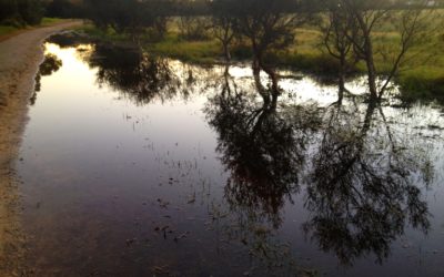 8 March  Genesis 12: 1 – 4a