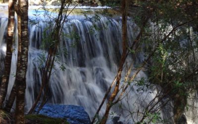 May 3   Acts 2:42-47 Ps 23 1 Pt 2:19-25 Jn 10:1-10