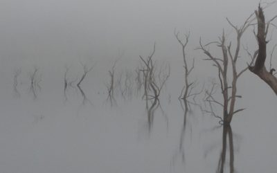 May 10  Acts 7:55-60 Ps 31:1-5, 15-16 1 Pt 2:2-10 Jn 14:1-14