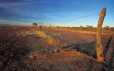 Pentecost 9 – August 2 Matthew 14:13-21