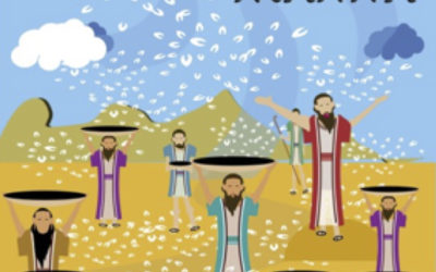 24th September 2023   Pentecost 17  Matthew 20:1-16   “IF ONLY … “  versus  GRATITUDE