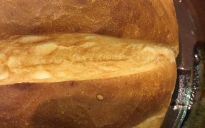 Aug 15 2021 Pentecost 12 John 6:51 – 58