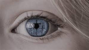 17th August 2025   Pentecost 10    Hebrews 12:1 & 2