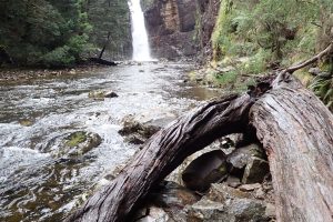 Waterfall, Overland Track 2022